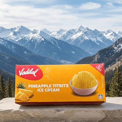 Pineapple Titbits Ice cream Vadilal