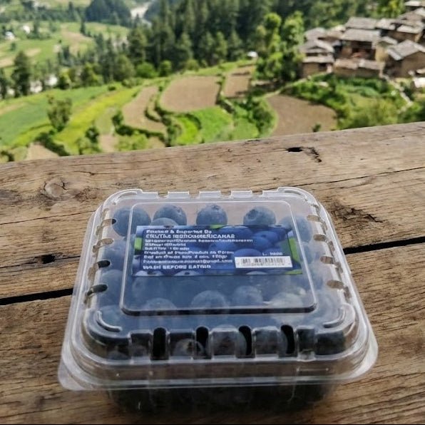 BlueBerry (ब्लूबेरी)
