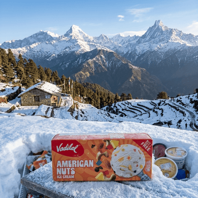 American Nuts Ice cream Vadilal
