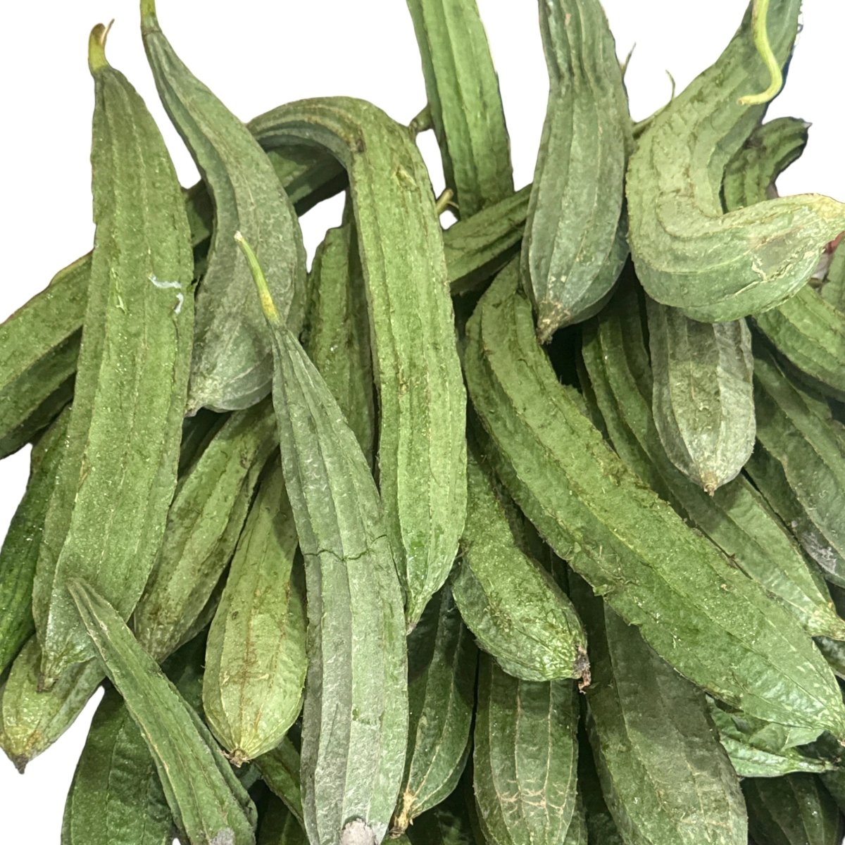 Pahadi Turai (पहाडी तुरई)