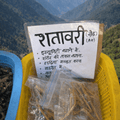शतावरी