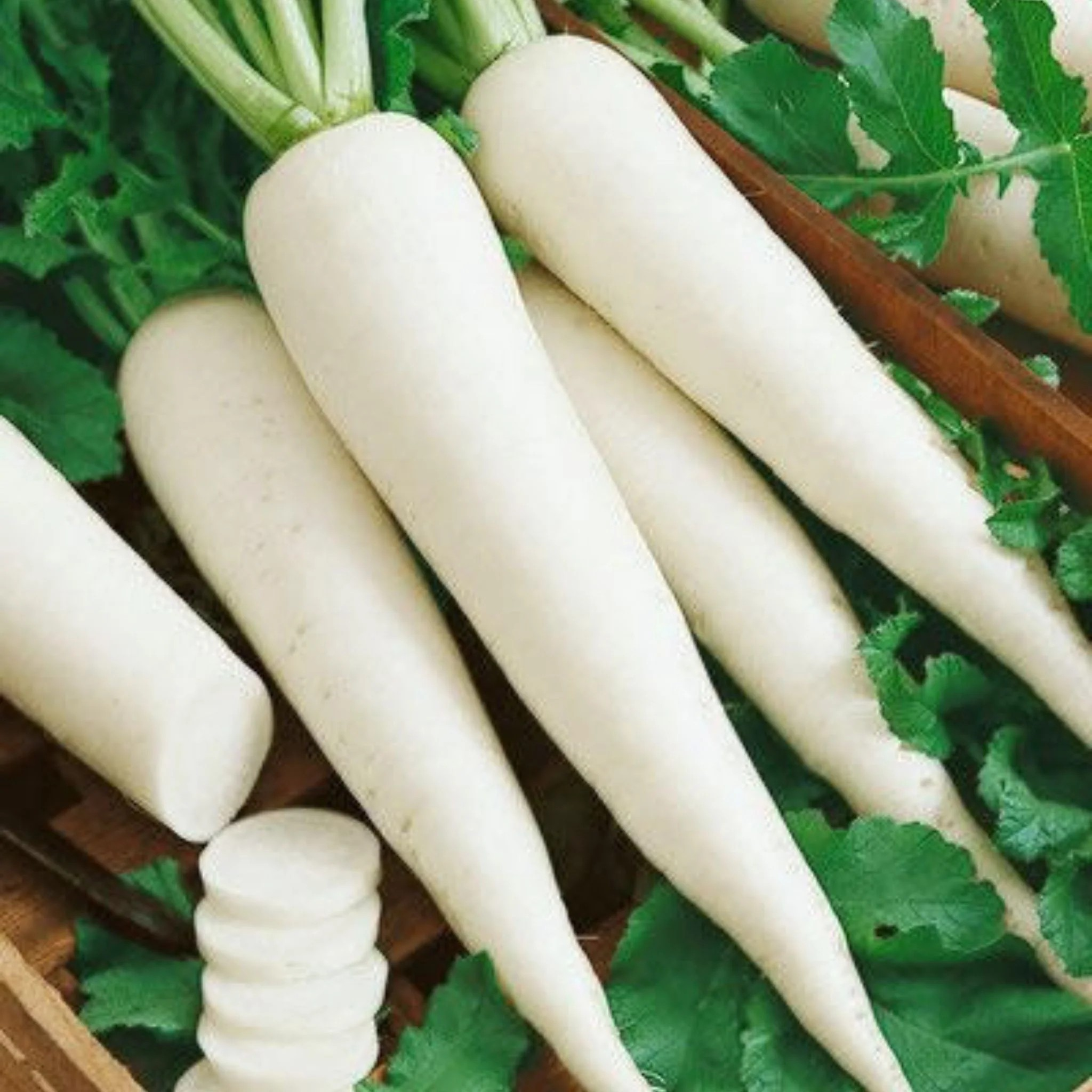 White radishes with green leaves on a wooden surface