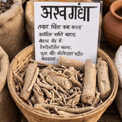 Ashwagandha (अस्वगन्धा )