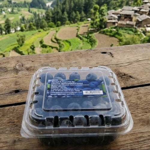 Container of blueberries on a wooden surface with a scenic mountain view in the background