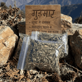 Gudmar (गुड़मार)