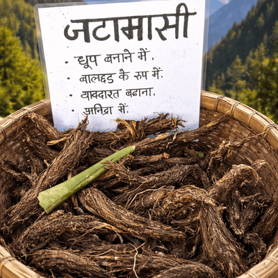 जटामासी