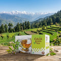 GAIA green tea box with a scenic background of mountains and terraced fields.