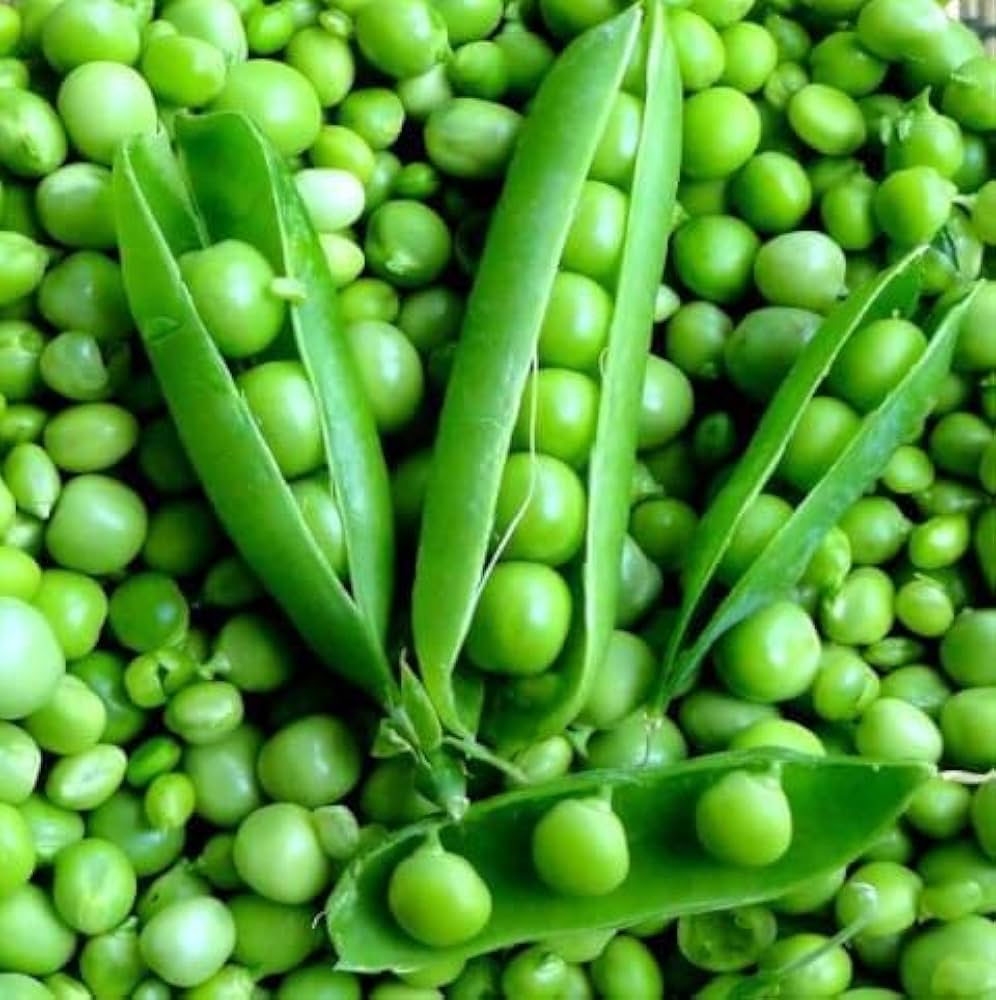 Green peas with pods on a bed of green peas