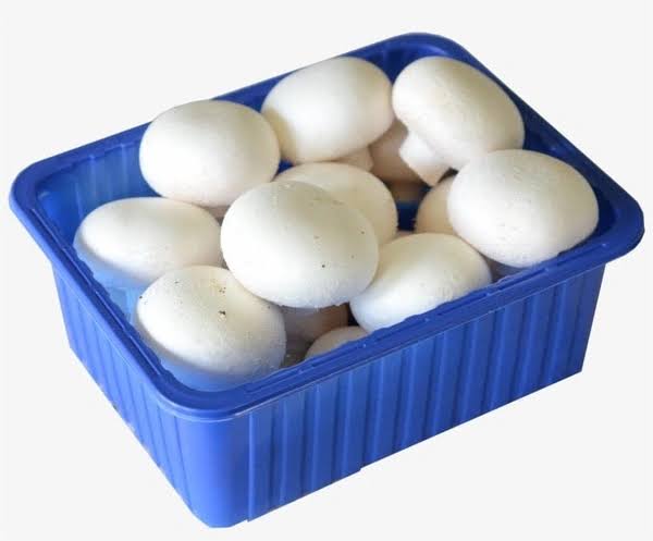 Blue container filled with white mushroom on a white background