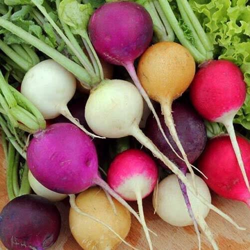 गोल मुली 🫜 1 किलो