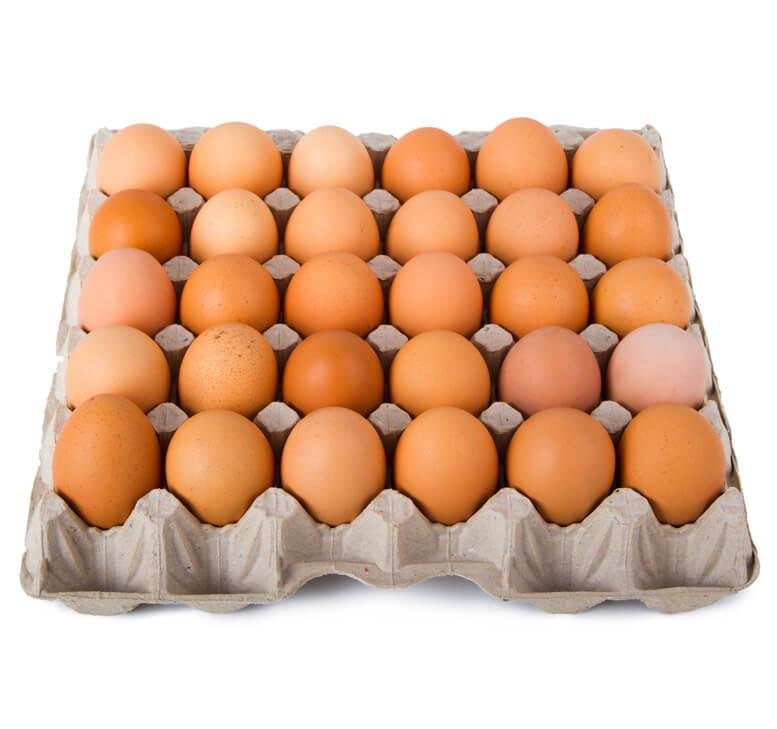 Carton of eggs with a variety of brown and beige colors on a white background