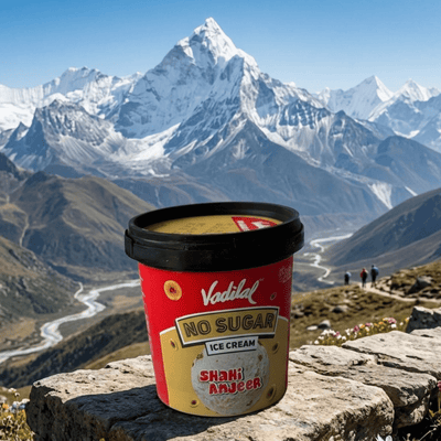 Vadilal No Sugar Shahi Anjeer ice cream