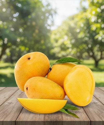 Alphonso Mango(अल्फोंसो आम)
