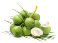 Coconut Water