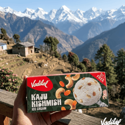 Kaju kishmish Ice cream Vadilal