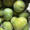 Aam Langara mango (आम लंगड़ा)
