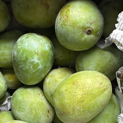 Aam Langara mango (आम लंगड़ा)