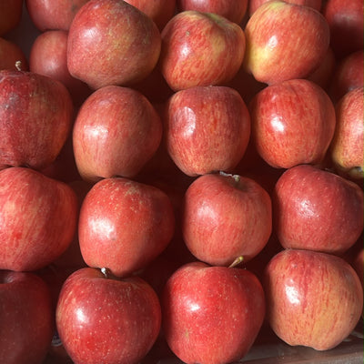 apple  (सेब) 1 kg