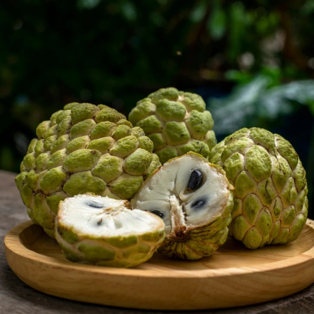 Custard Apple