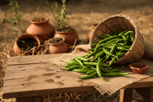 Green Chilly Product Images with phadi vibe 