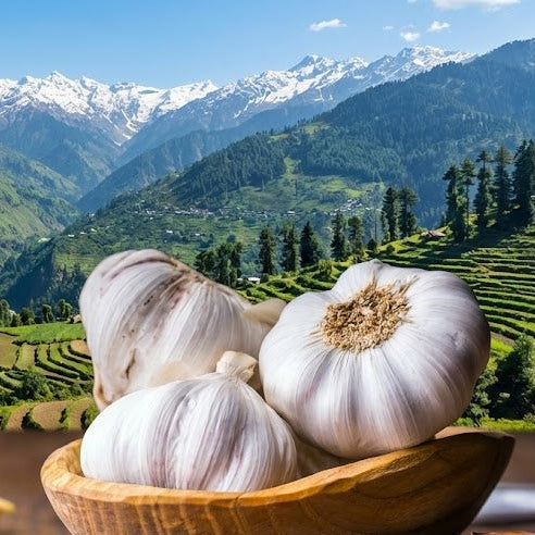 Garlic bulbs in a wooden bowl with a scenic mountain landscape in the background