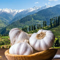 Garlic bulbs in a wooden bowl with a scenic mountain landscape in the background