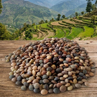 Stack of multicolored stones on a wooden surface with a scenic mountain landscape in the background