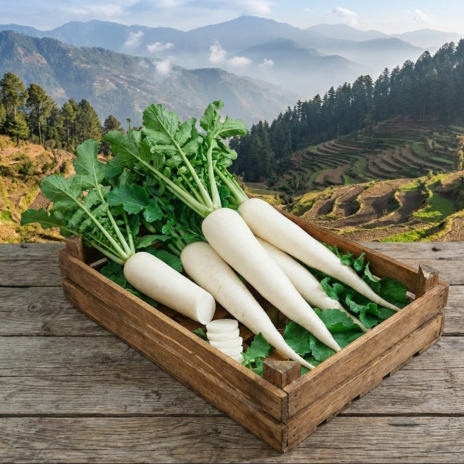 White radishes in a wooden crate with a mountainous landscape in the background
