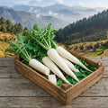 White radishes in a wooden crate with a mountainous landscape in the background