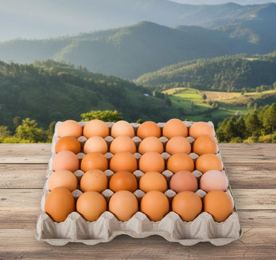 Carton of eggs on a wooden surface with a scenic mountain landscape in the background