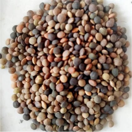 Pahadi Masoor Dal 1 kg (पहाड़ी मसूर दाल)